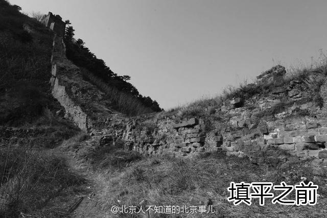 八重神子撕开内衣 吸奶头动漫