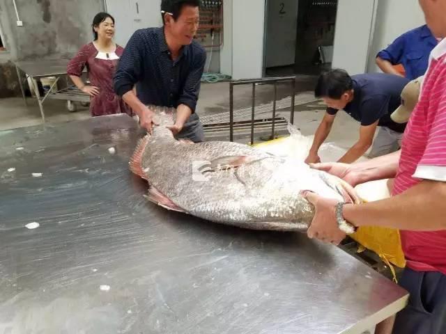 辜莞允