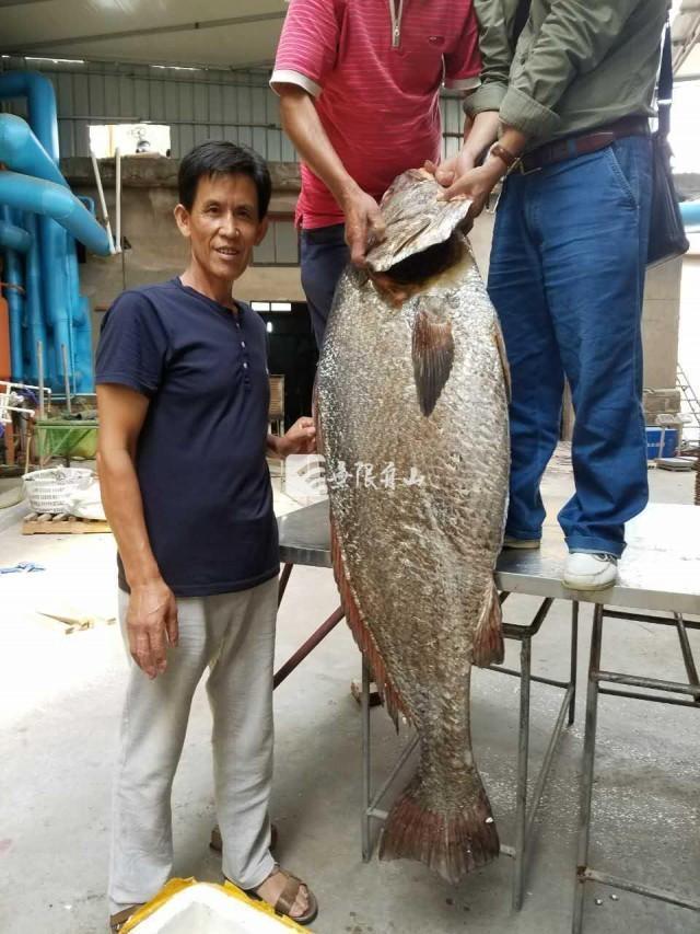 夫妻性爱三级片