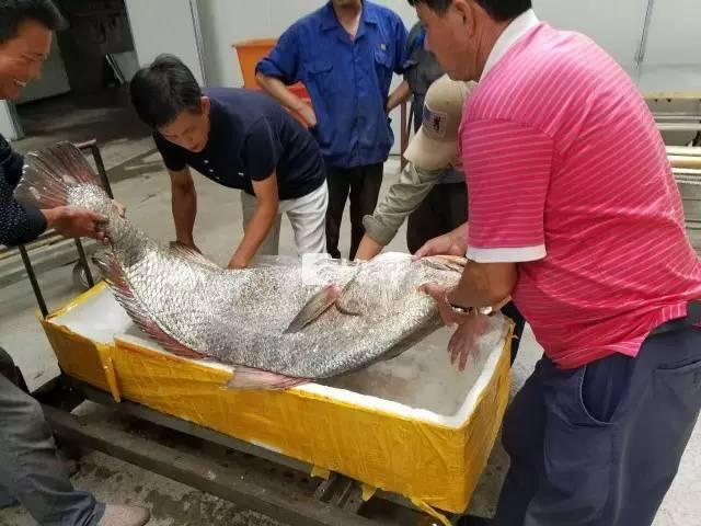 白丝校花 扒开美腿甜美打扑克