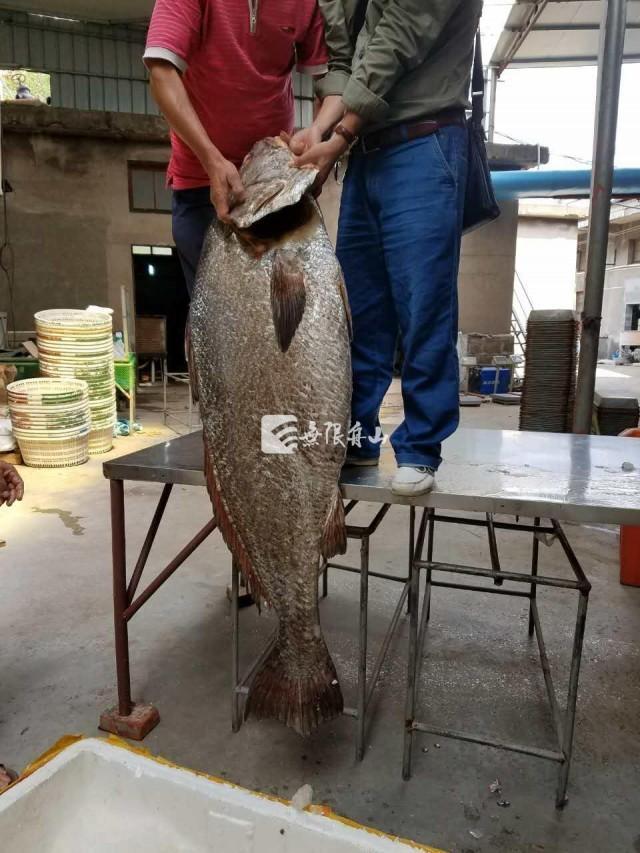 亚洲综合精品