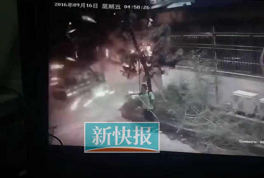 成年人免费黄色视频网战