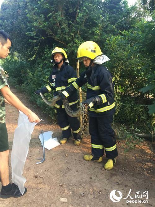 百度百度下载一个三级黄片欧美的最新的