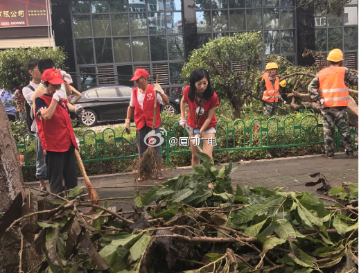 台湾伦理三级片