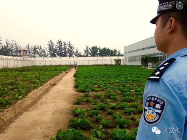 雷电被爆 乳喷自慰爽
