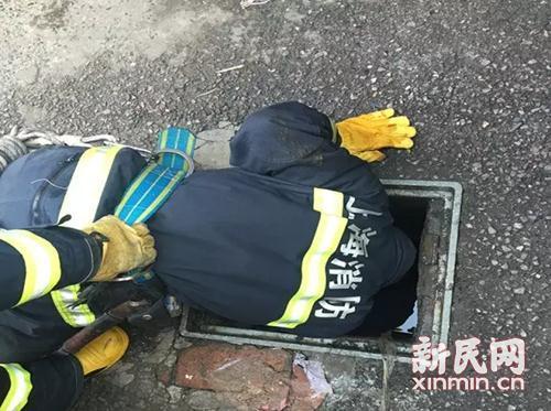 一级做a爰毛片A片 9 1免费优盘
