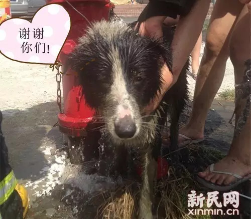 Www.乱伦Hd