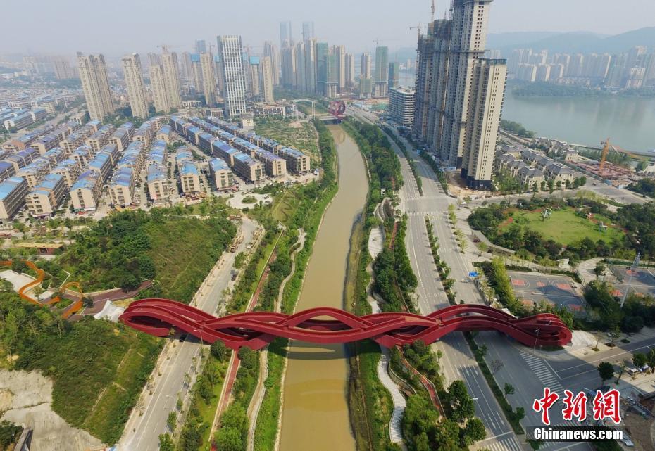 免费高清无码黄色网站
