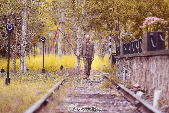 张柏芝私密毛处