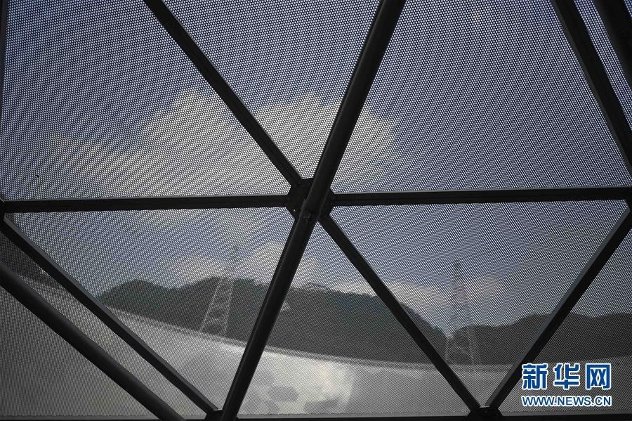 大地资源二中文在线观看官网