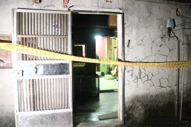 台灣熊熊打籃球