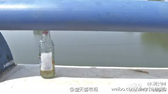 小奶狗