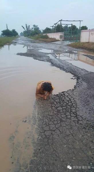 久久99久久99精品免观看软件
