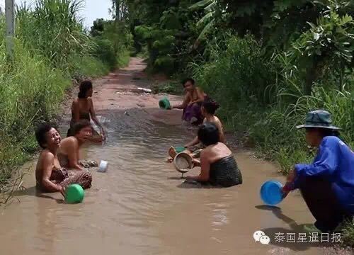 久草在线