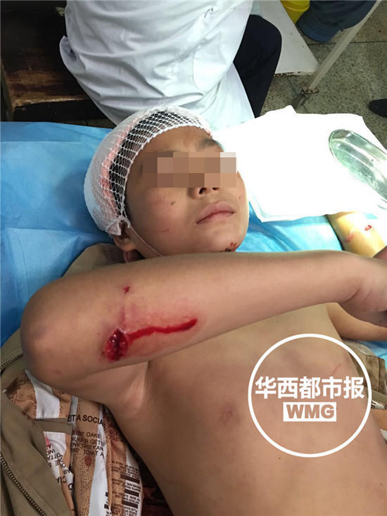 撕开内衣 吸奶头动漫的软件