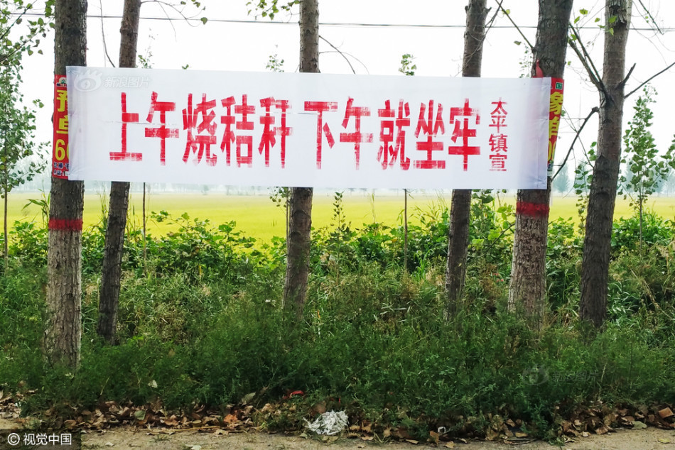 爱情电影网 aqdyb 提供好看的电影电视剧