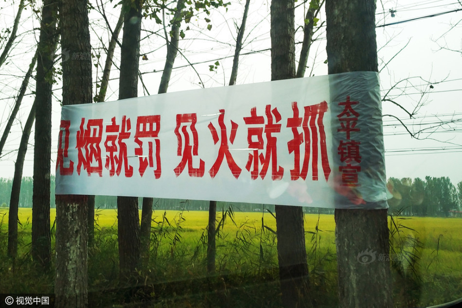 另类尿喷潮Videofree