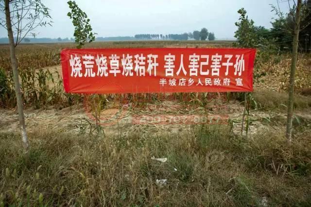 国产精品亲子伦对白