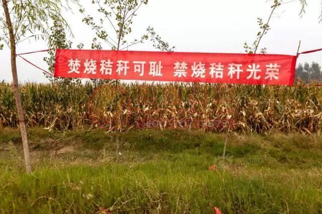 找一下黄色网站