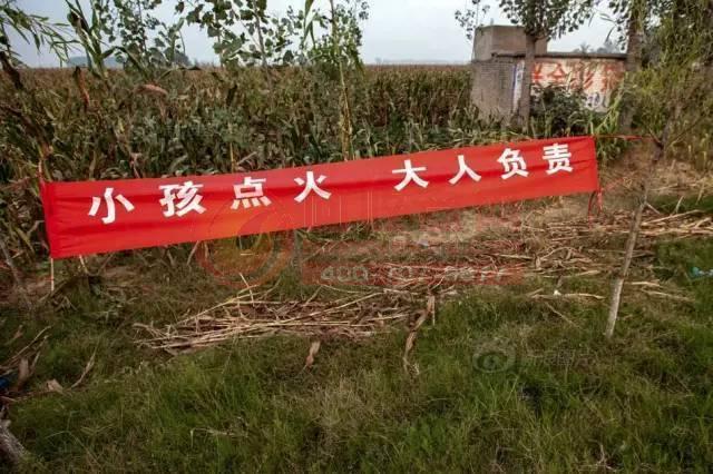 偷拍办公楼女厕尿视频