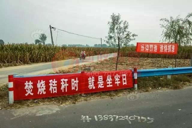 k8经典成人理伦片