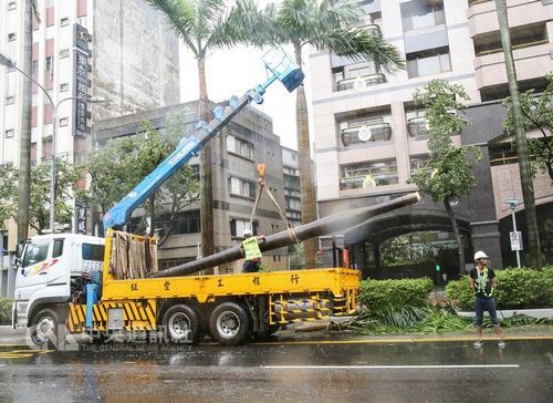 白丝jK美女尿道口视频无遮挡