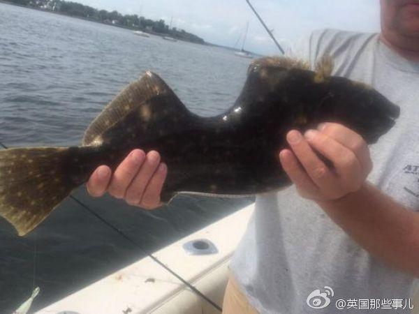 南波杏
