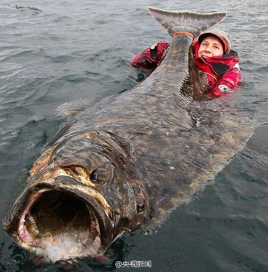教师被狂揉下部 视频