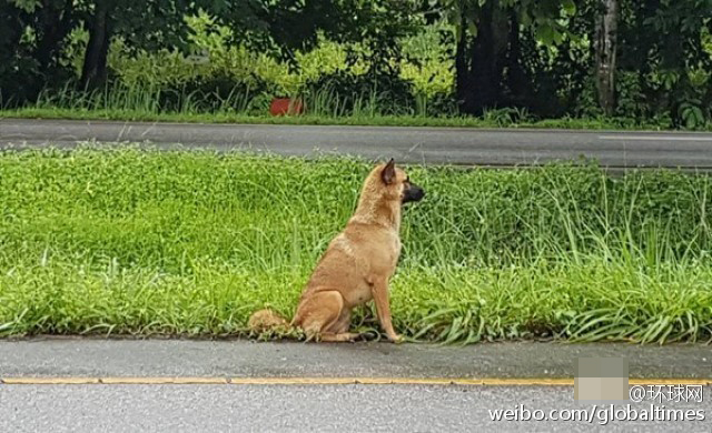 肥肉女人黄色一级片