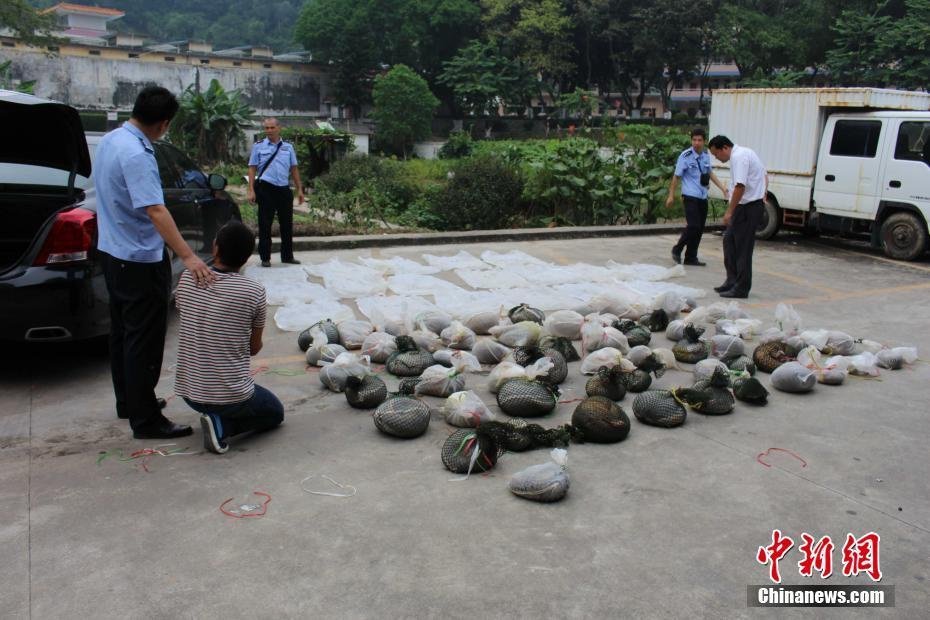 女人扒开尿口让男人桶