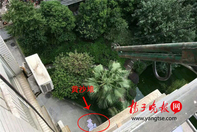 张婉莹视频暑假作业