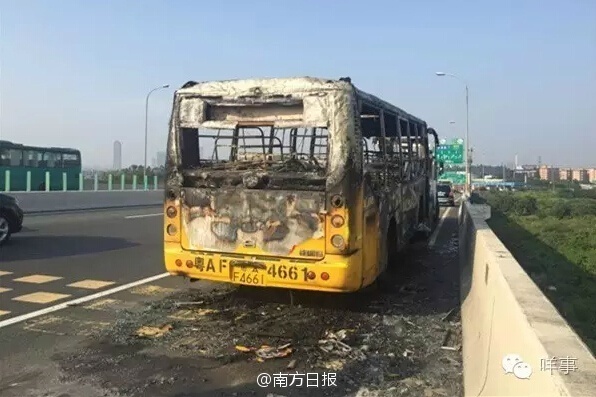 丰满的少妇XXXXX极品林志玲