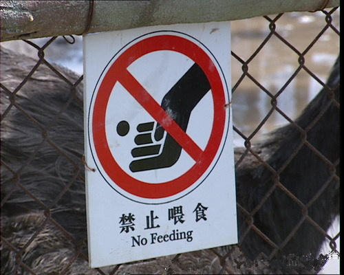 向日葵视频罗志祥总结