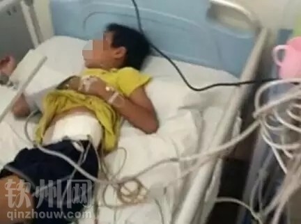 日本 成人 视频 网
