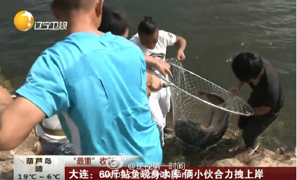 台湾精典三级Av在线