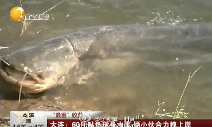 A级网站