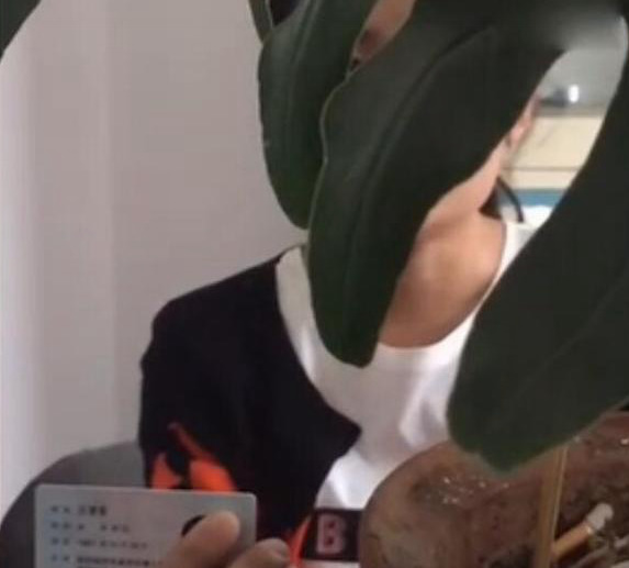 亚洲一级电影