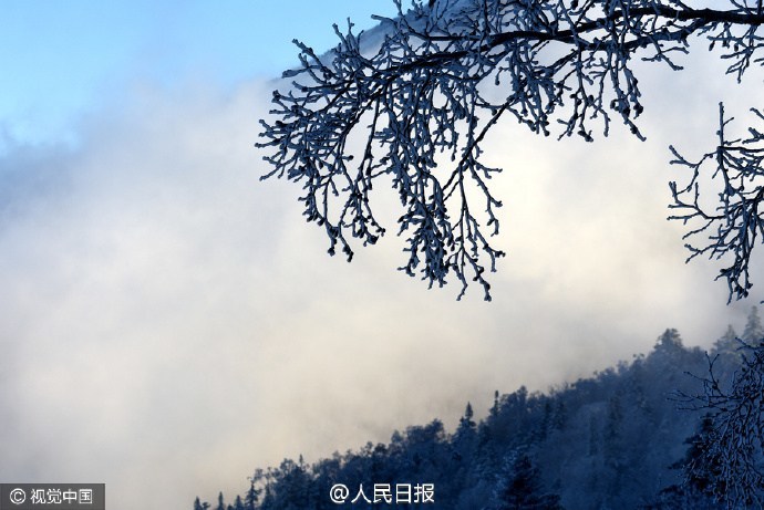 黄色片大闺女尿尿