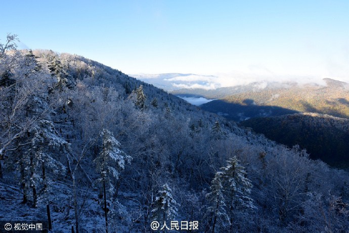 体育生边缘呻吟被榨精GV