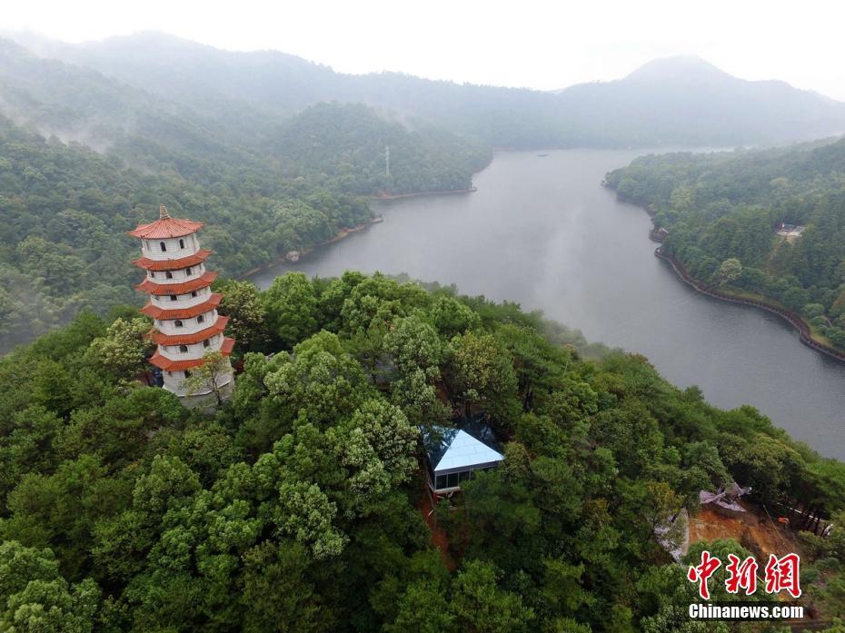欧美的AA毛片