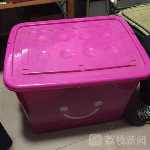 堀口奈津美