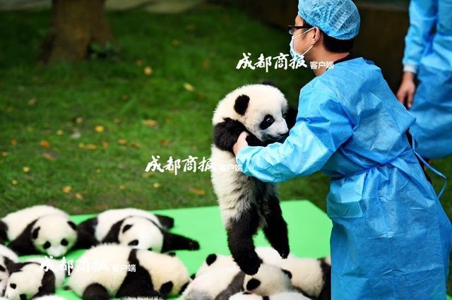 鈴原愛蜜莉