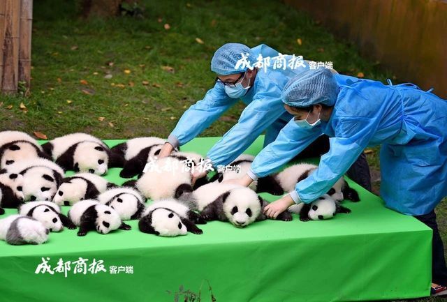 一级婬片A片AAAA片老牛