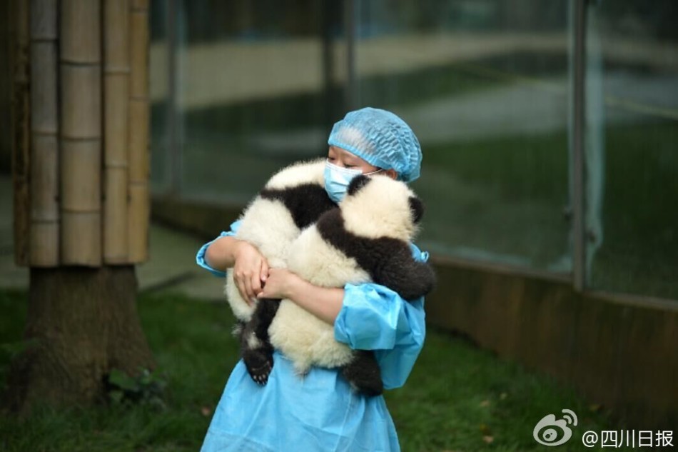 亚洲 免费 色情 网