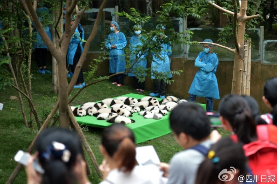 欧美肥婆Xxxx