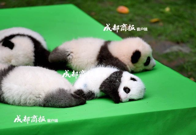 女房东～婬辱の教室在动漫