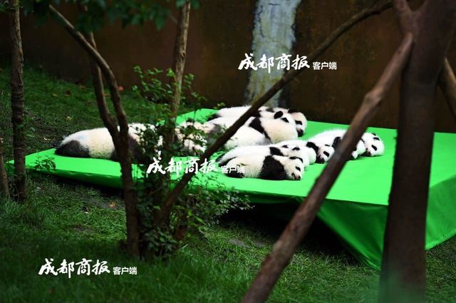 帅哥 性爱 视频