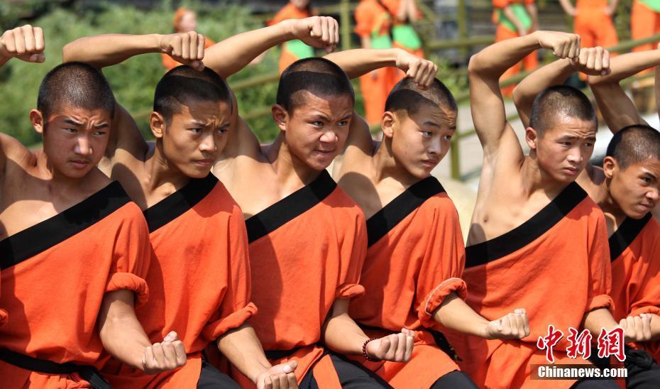 黄色直播免费手机在线视频观看