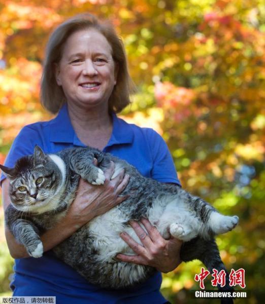 HD专干各种老太婆