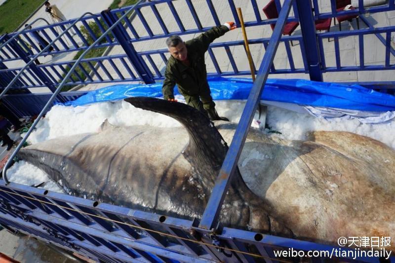 看一个黄色影视